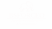 BSFORCEO